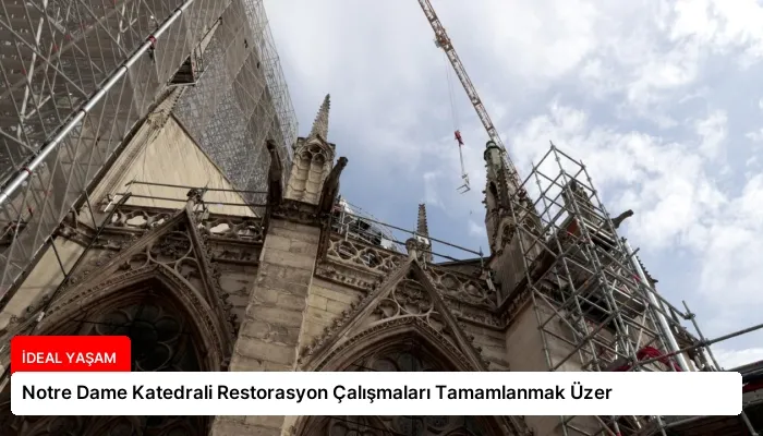 Notre Dame Katedrali Restorasyon Çalışmaları Tamamlanmak Üzer