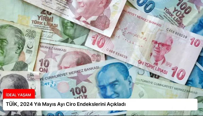 TÜİK, 2024 Yılı Mayıs Ayı Ciro Endekslerini Açıkladı