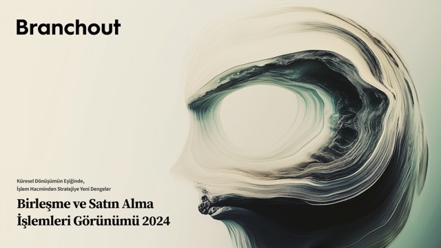 2024’te “mega” birleşme ve satın almalar, yıllık bazda %17 arttı