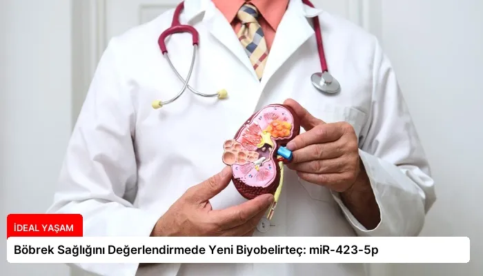 Böbrek Sağlığını Değerlendirmede Yeni Biyobelirteç: miR-423-5p