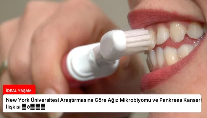 New York Üniversitesi Araştırmasına Göre Ağız Mikrobiyomu ve Pankreas Kanseri İlişkisi ⏬👇