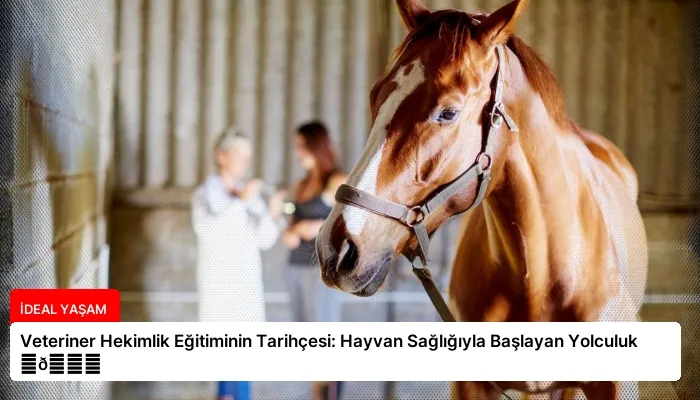 Veteriner Hekimlik Eğitiminin Tarihçesi: Hayvan Sağlığıyla Başlayan Yolculuk ⏬👇