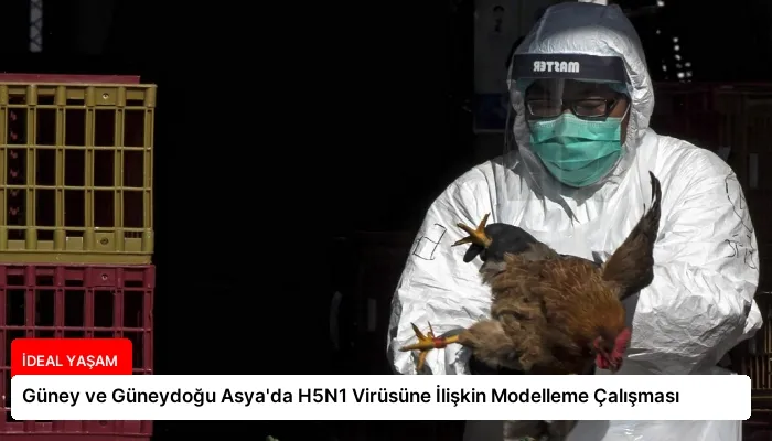 Güney ve Güneydoğu Asya’da H5N1 Virüsüne İlişkin Modelleme Çalışması