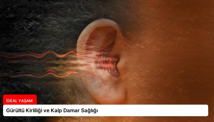 Gürültü Kirliliği ve Kalp Damar Sağlığı