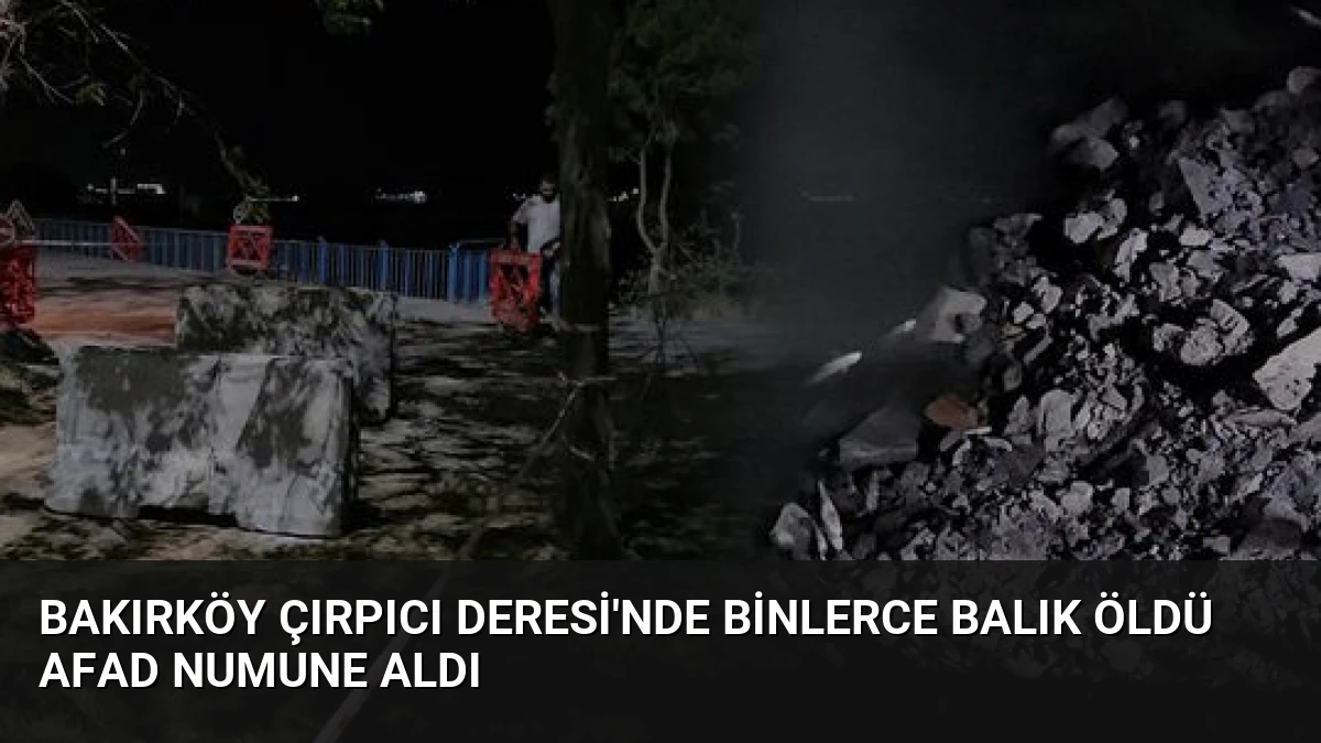Bakırköy Çırpıcı Deresi’nde Binlerce Balık Öldü AFAD Numune Aldı