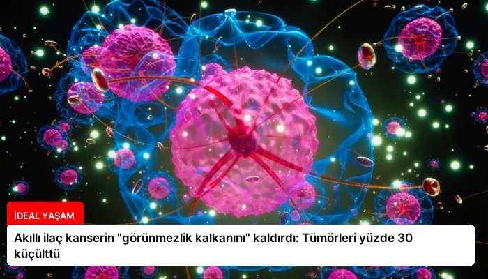 Akıllı ilaç kanserin “görünmezlik kalkanını” kaldırdı: Tümörleri yüzde 30 küçülttü