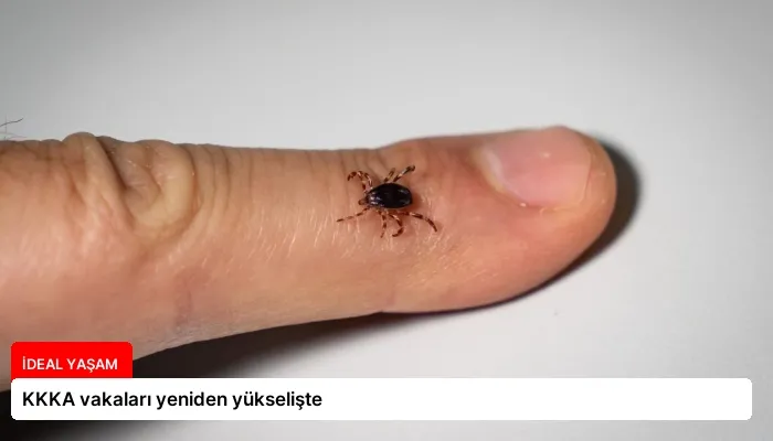 KKKA vakaları yeniden yükselişte