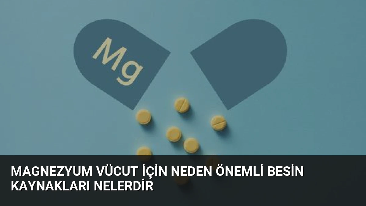 Magnezyum Vücut İçin Neden Önemli Besin Kaynakları Nelerdir