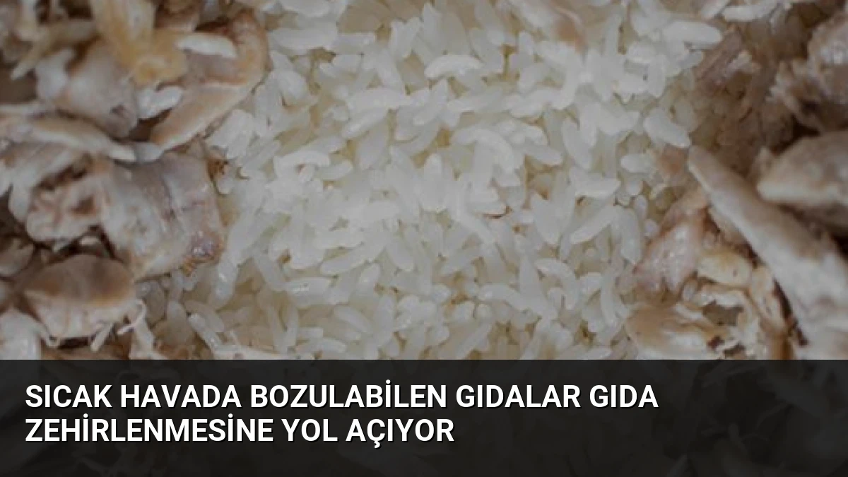 Sıcak Havada Bozulabilen Gıdalar Gıda Zehirlenmesine Yol Açıyor