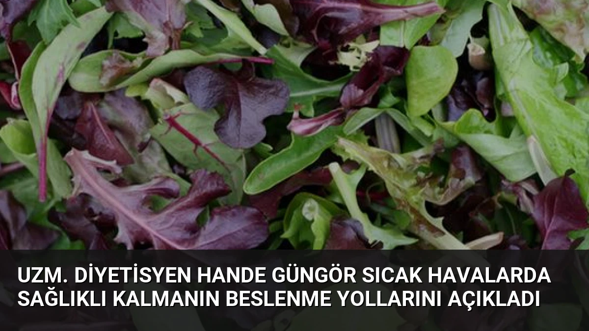 Uzm. Diyetisyen Hande Güngör Sıcak Havalarda Sağlıklı Kalmanın Beslenme Yollarını Açıkladı