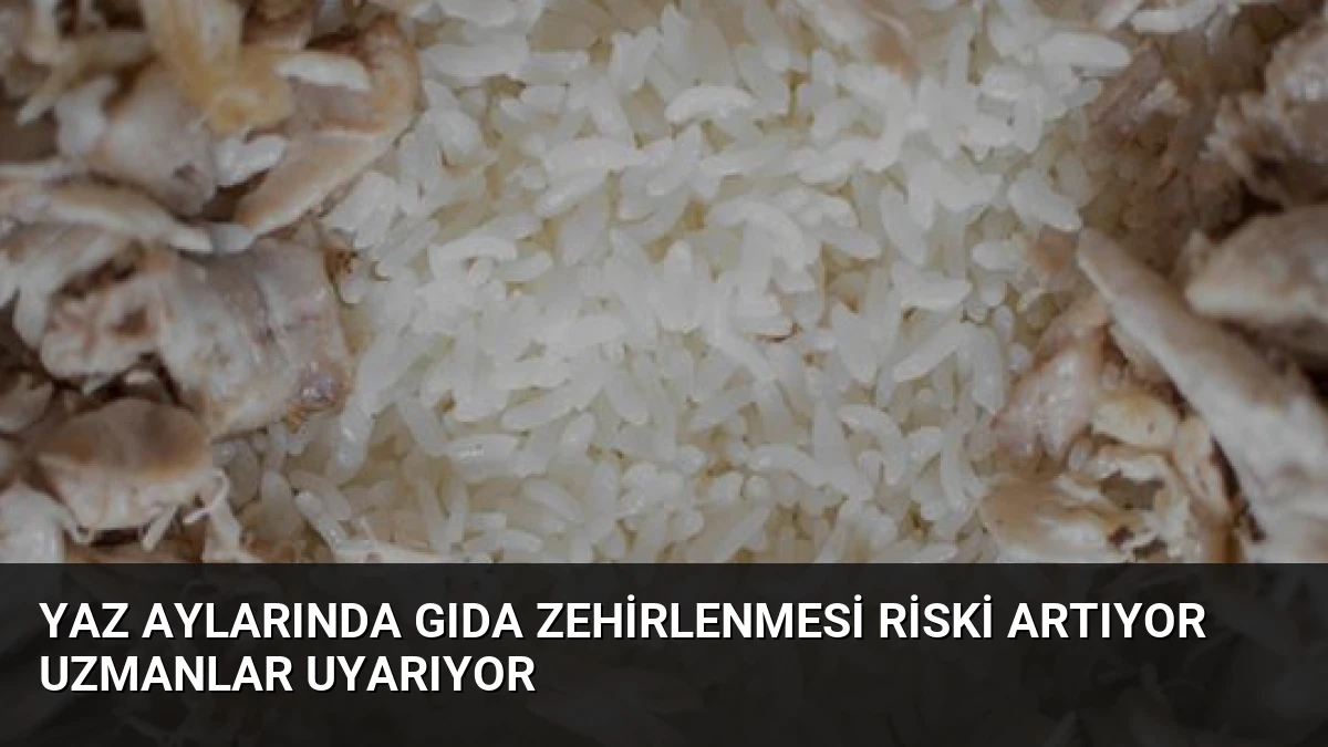 Yaz Aylarında Gıda Zehirlenmesi Riski Artıyor Uzmanlar Uyarıyor