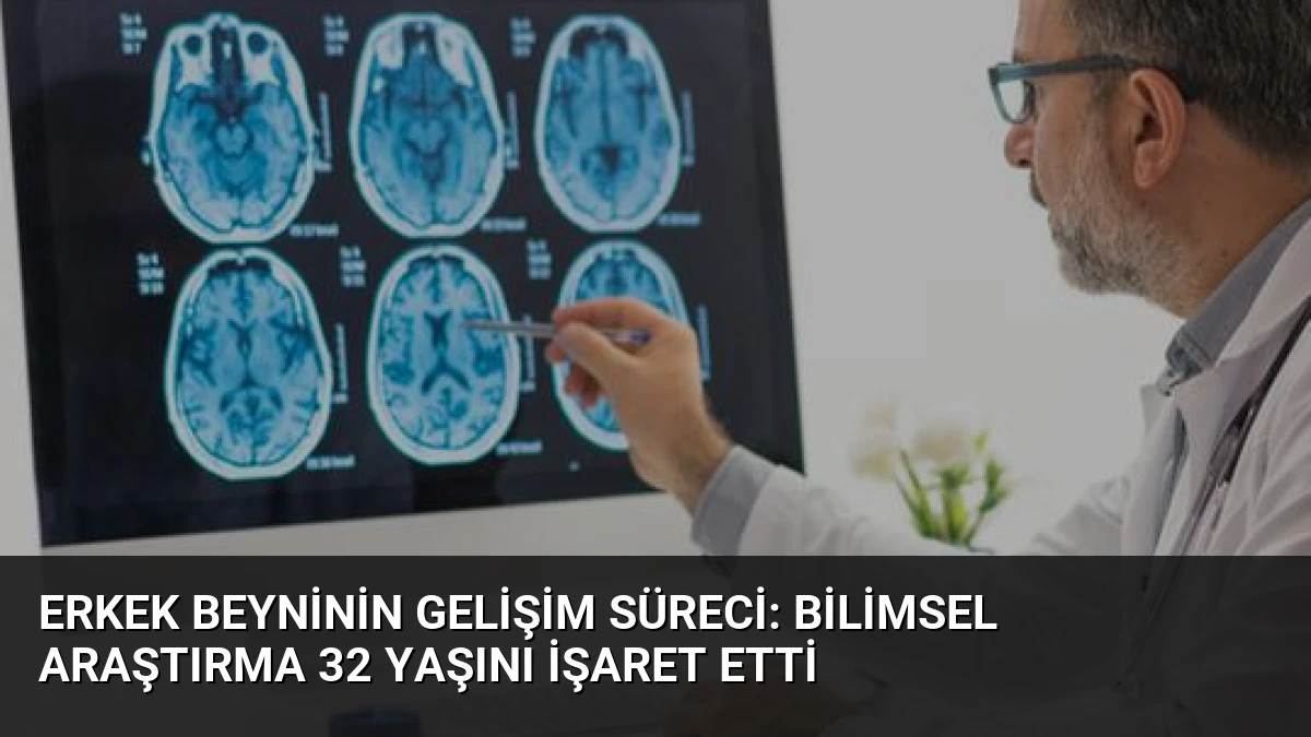 Erkek Beyninin Gelişim Süreci: Bilimsel Araştırma 32 Yaşını İşaret Etti
