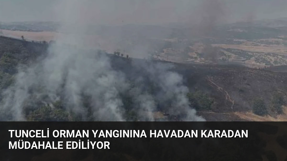 Tunceli Orman Yangınına Havadan Karadan Müdahale Ediliyor