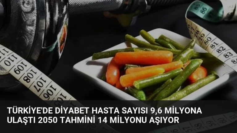 Türkiye’de Diyabet Hasta Sayısı 9,6 Milyona Ulaştı 2050 Tahmini 14 Milyonu Aşıyor
