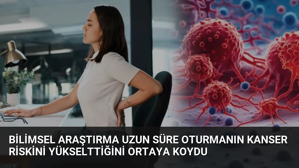 Bilimsel Araştırma Uzun Süre Oturmanın Kanser Riskini Yükselttiğini Ortaya Koydu