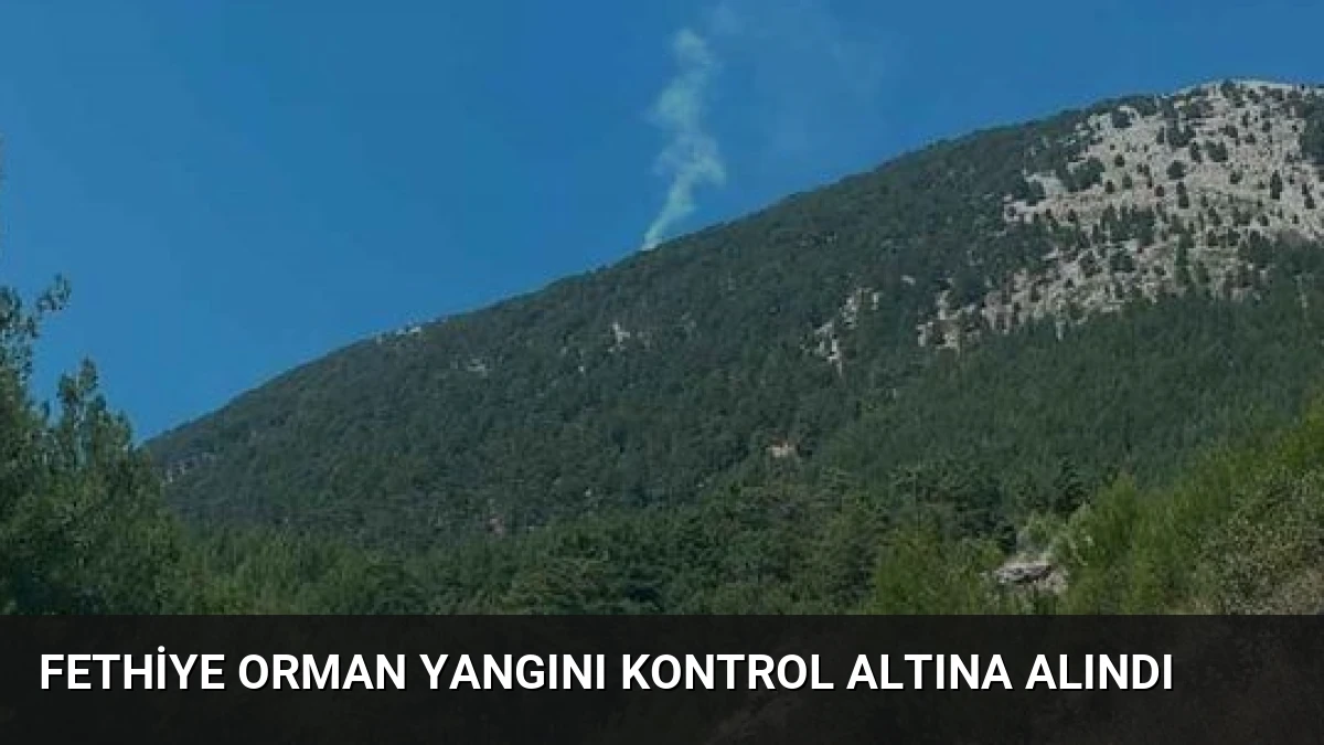 Fethiye Orman Yangını Kontrol Altına Alındı