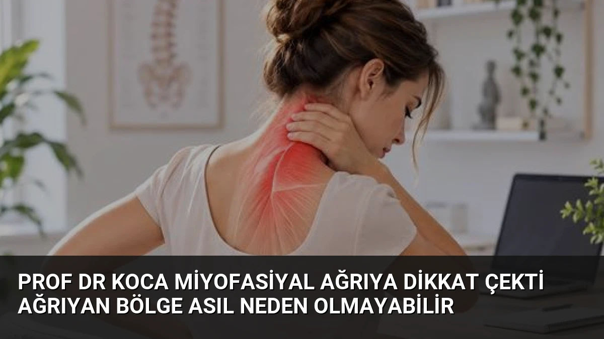 Prof Dr Koca Miyofasiyal Ağrıya Dikkat Çekti Ağrıyan Bölge Asıl Neden Olmayabilir