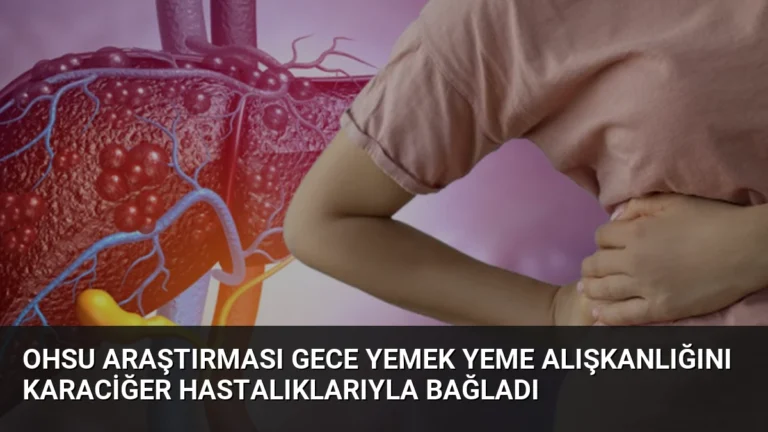 OHSU Araştırması Gece Yemek Yeme Alışkanlığını Karaciğer Hastalıklarıyla Bağladı