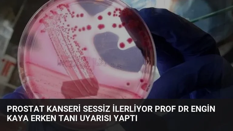 Prostat Kanseri Sessiz İlerliyor Prof Dr Engin Kaya Erken Tanı Uyarısı Yaptı