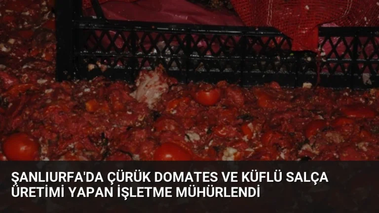 Şanlıurfa’da Çürük Domates ve Küflü Salça Üretimi Yapan İşletme Mühürlendi